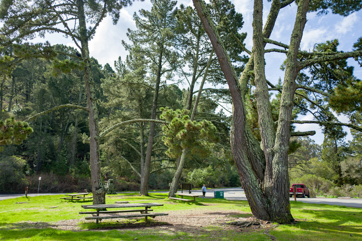 Panoramic Image of Orinda, CA